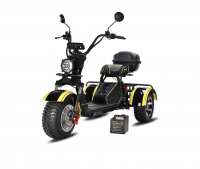 Электротрицикл SIBERTON PRO TRIKE 3000w