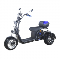 Электротрицикл Skyboard MyRussia BR60 3000W