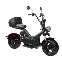 Электроскутер Skyboard Baikal BR50 3000W